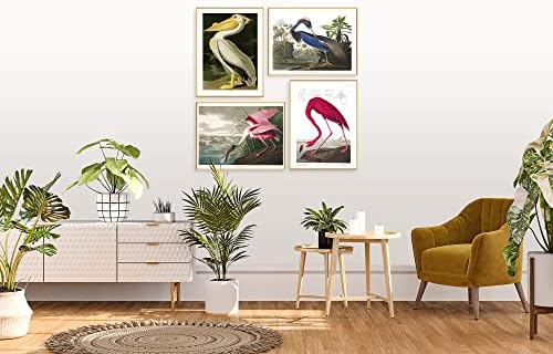 Реколта плакати с птици - Комплект стенни рисунки Audubon Bird Poster Плакати с природата за тропически декор | една